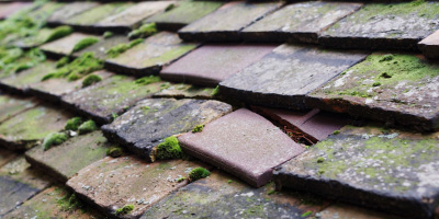Blewbury roof repair costs